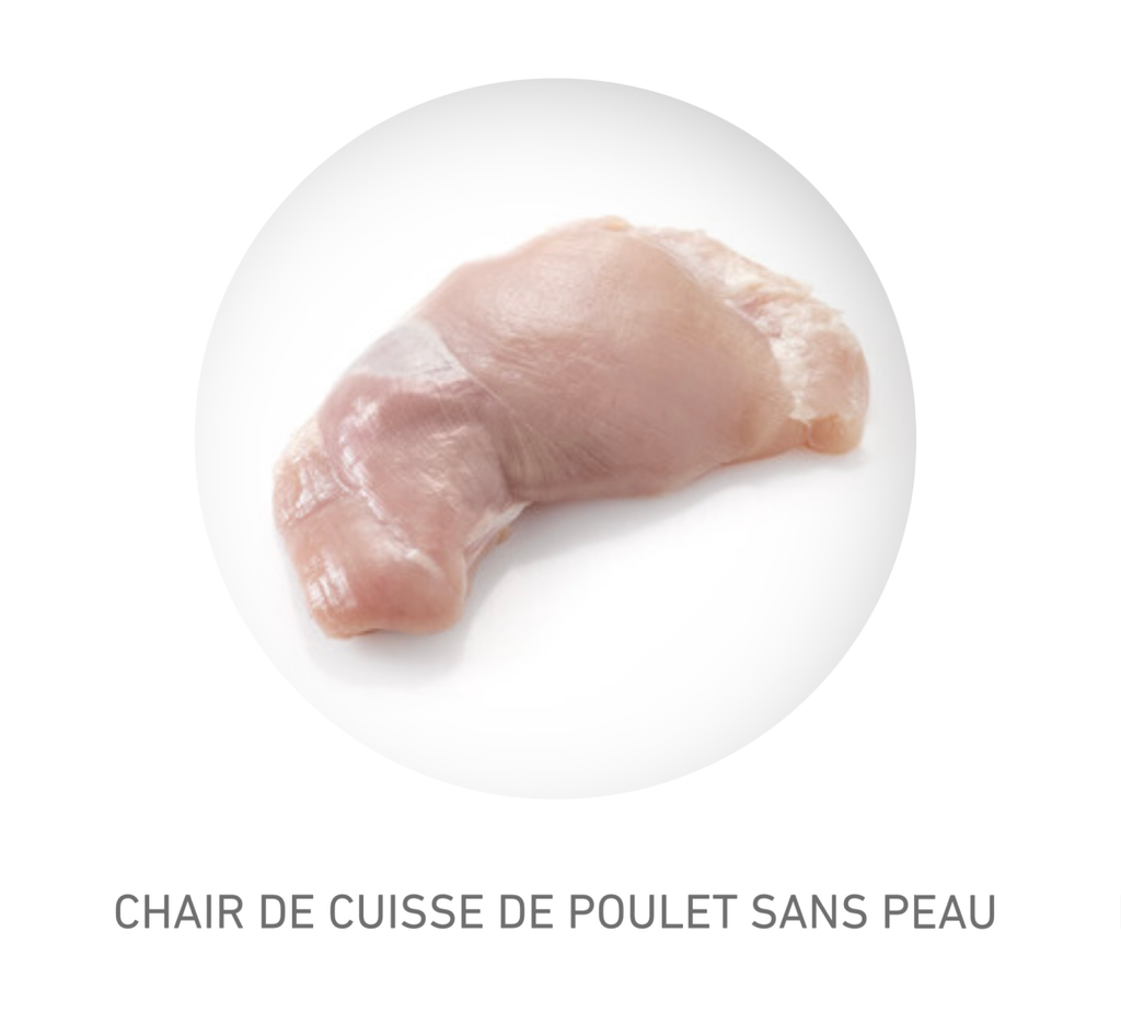 HAUT DE CUISSE SANS PEAU SANS OS 10 kg - PC