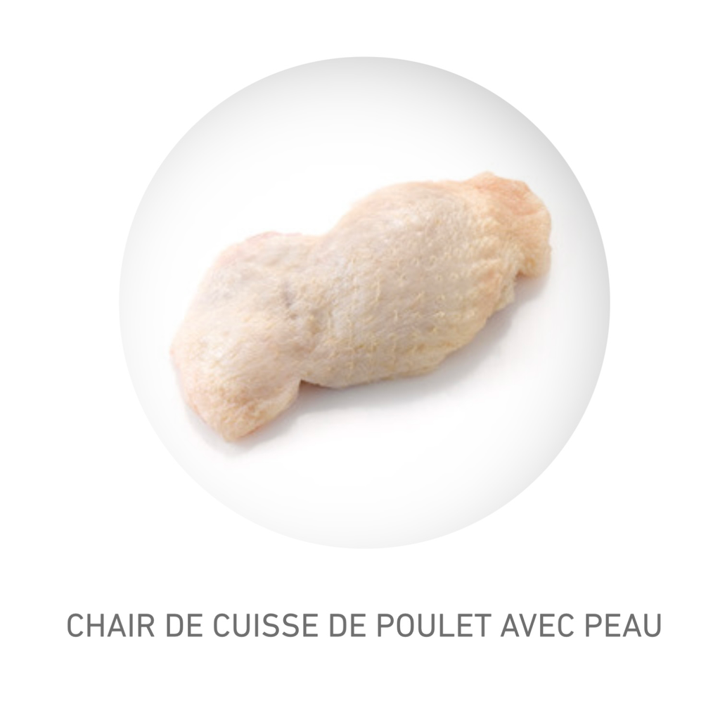 VIANDE DE CUISSE AVEC PEAU 10 kg - PC
